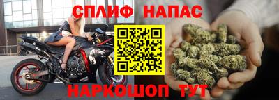 эйфоретик Малгобек