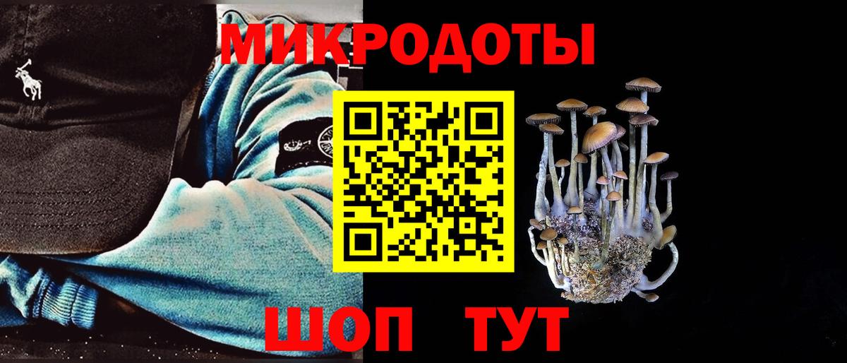 Холмск  Псилоцибиновые грибы мицелий  купить наркотики цена  Вход с VPN 