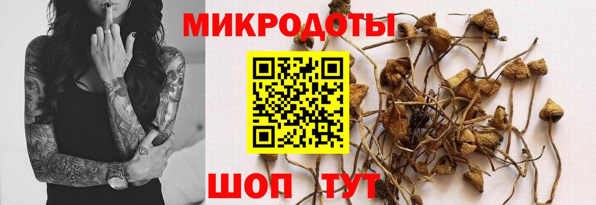 Галлюциногенные грибы Cubensis Холмск